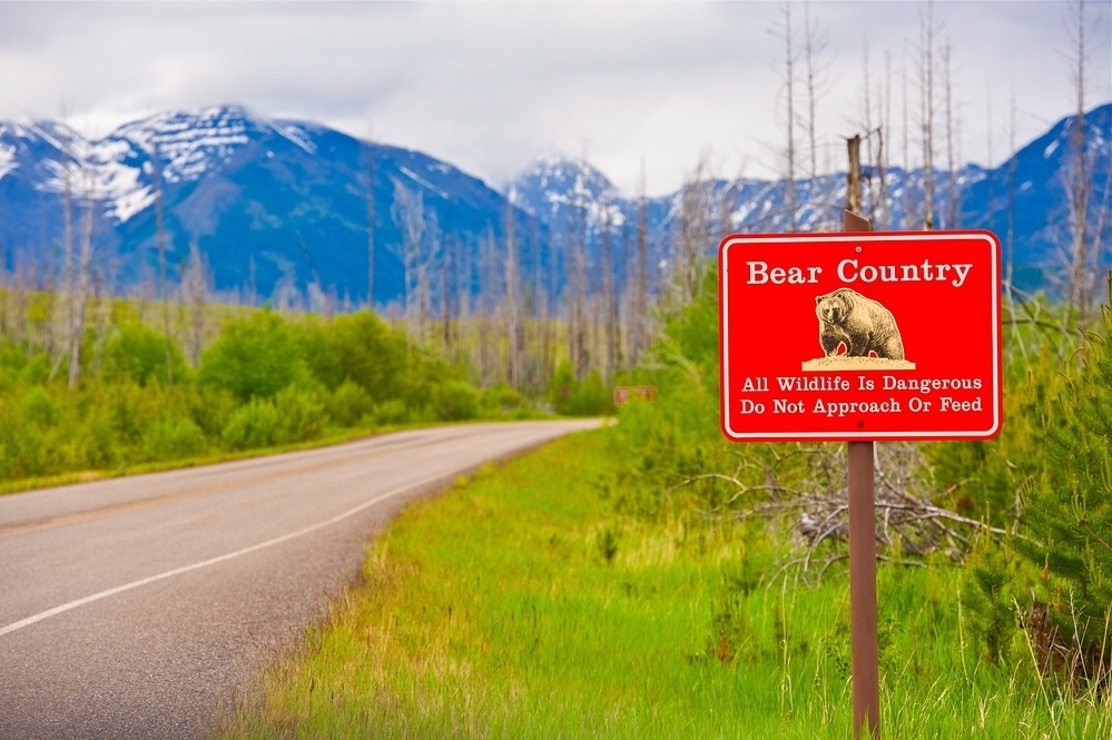Bear Country Warning Sign. All Wildlife is Dangerous. Do Not Approach or Feed Red Countryside Sign. Montana, United States.